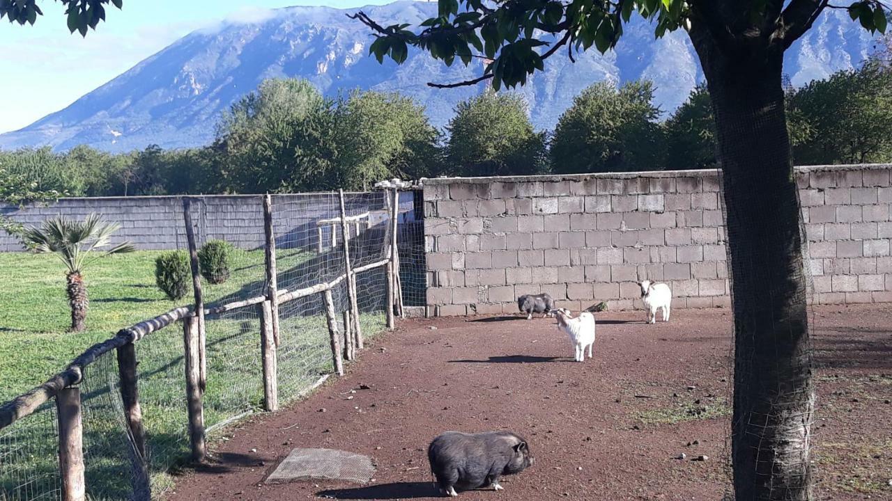 Agriturismo Carlo Cioffi Hotel Rotondi Luaran gambar